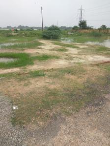 Residential Plot