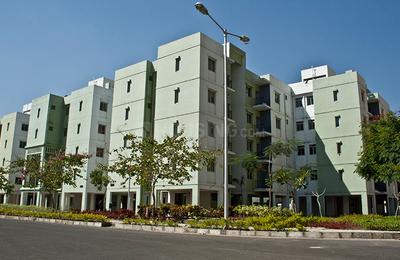 3 BHK Apartment