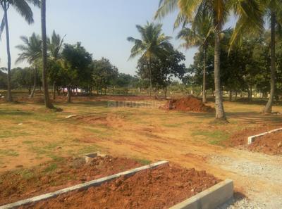 Residential Plot