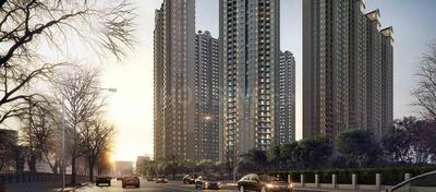 3 BHK Apartment