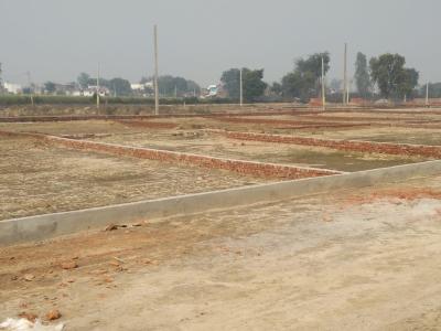 Residential Plot