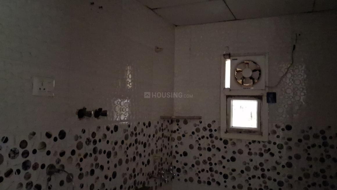 Saya Zion - Image 15