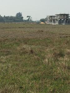 Residential Plot