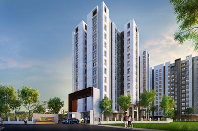3 BHK Apartment