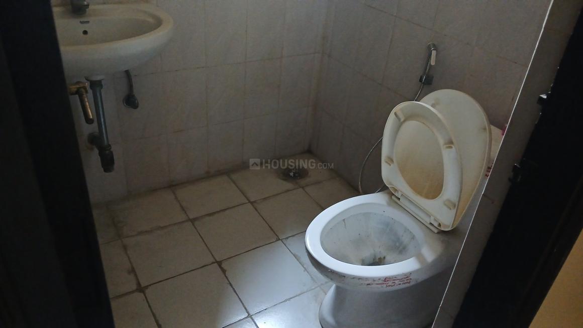 Today Kings Park - Image 9