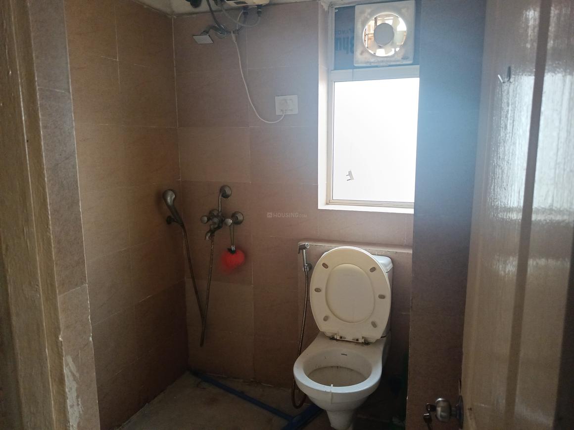 Paras Tierea - Image 15