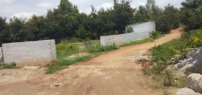 Residential Plot