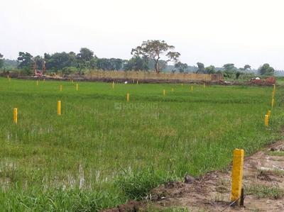 Gallery Cover Image of Sq.ft Residential Plot for buy in Rasapunja for 500000