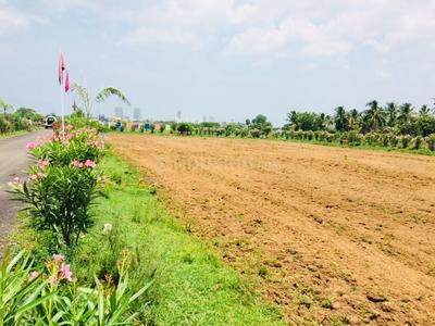 Residential Plot