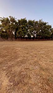 13500 Sq.ft Residential Plot for Sale in Fatehpur Beri, New Delhi
