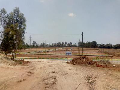 Residential Plot
