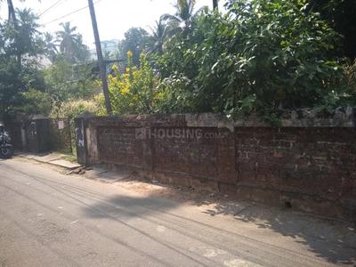 Residential Plot