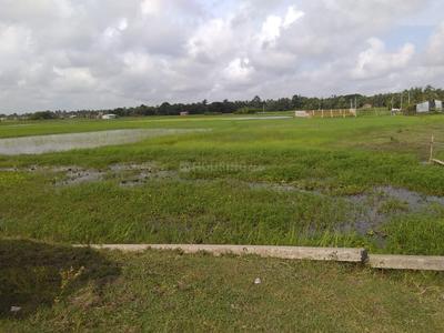 Residential Plot