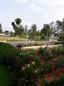 Residential Plot