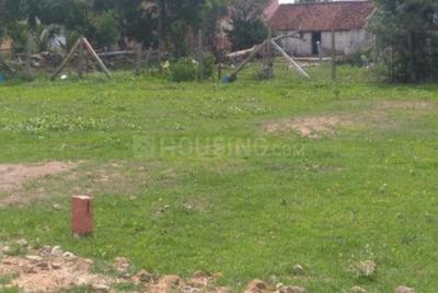 Gallery Cover Image of Sq.ft Residential Plot for buy in Veppampattu for 800000