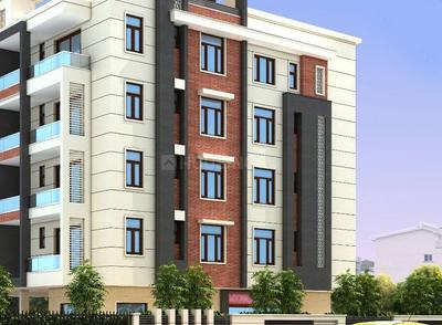 3 BHK Apartment