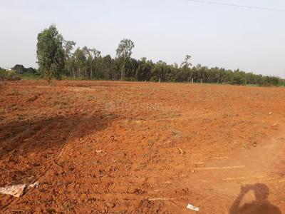 Gallery Cover Image of Sq.ft Residential Plot for buy in Yerthiganahalli for 2398800