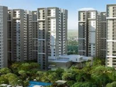 1 BHK Apartment