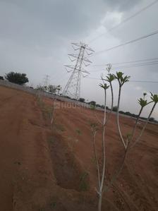Residential Plot