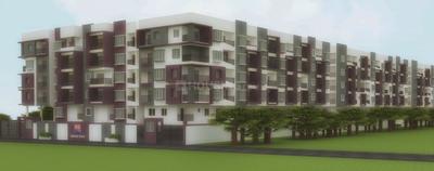 3 BHK Apartment