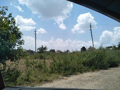 Residential Plot