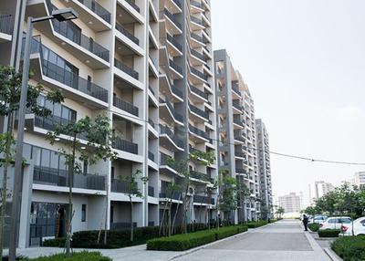 3 BHK Apartment
