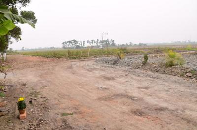 Residential Plot