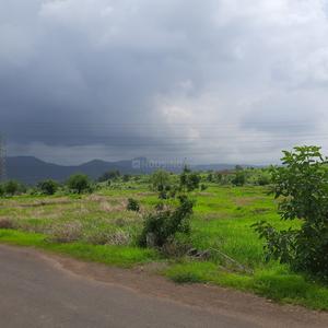 20000 Sq.ft Residential Plot for Sale in Panvel, Navi Mumbai