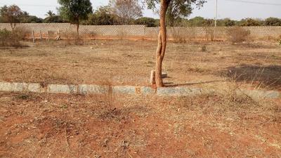 Gallery Cover Image of Sq.ft Residential Plot for buy in Chikkagubbi Village for 3960000