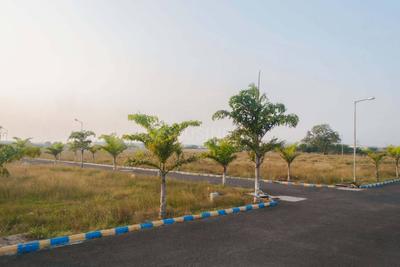 Residential Plot