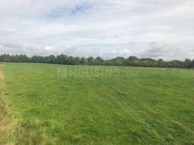 Gallery Cover Image of Sq.ft Residential Plot for buy in Kuntloor for 605000