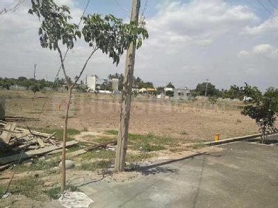 Gallery Cover Image of Sq.ft Residential Plot for buy in Kalapatti for 51975000