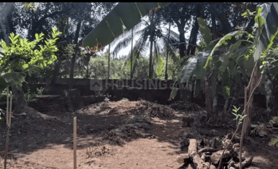 Gallery Cover Image of Sq.ft Residential Plot for buy in Cheroor for 799999
