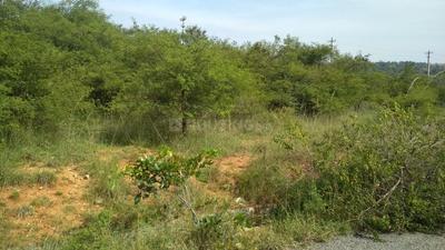 Residential Plot