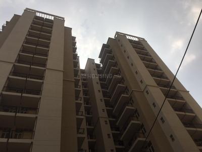 3 BHK Apartment