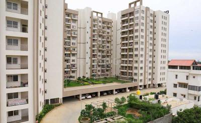 3 BHK Flat