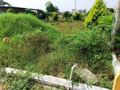 900 Sq.ft Residential Plot for Sale in Katad Khana, Pune