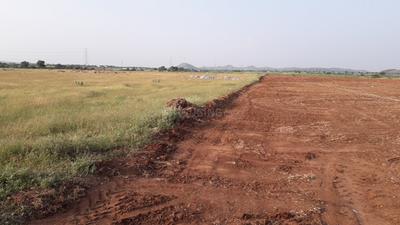 Gallery Cover Image of Sq.ft Residential Plot for buy in Syndicate Nagar for 375000