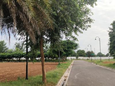 240 Sq.ft Residential Plot for Sale in Sector 63, Gurgaon