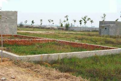 Gallery Cover Image of Sq.ft Residential Plot for buy in Sector 146 for 700000