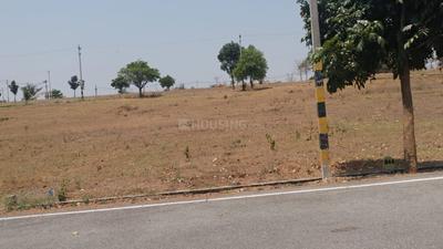 Gallery Cover Image of Sq.ft Residential Plot for buy in Hampa Pura for 2850000