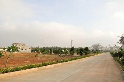 Residential Plot