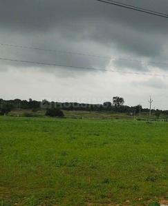 Gallery Cover Image of Sq.ft Residential Plot for buy in Mansanpally for 3500000