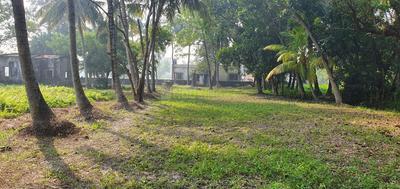 Gallery Cover Image of Sq.ft Residential Plot for buy in Paschim Barisha for 2000000