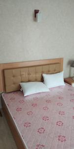 1 RK Apartment