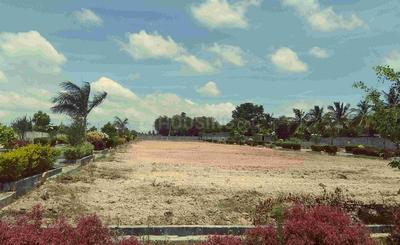 Residential Plot