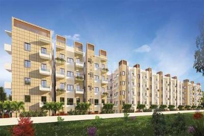 3 BHK Apartment