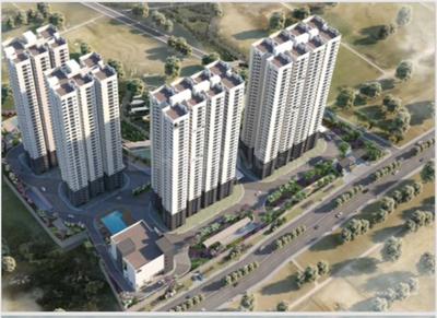3 BHK Apartment