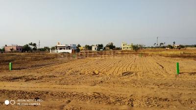 Gallery Cover Image of Sq.ft Residential Plot for buy in Veppampattu for 900000