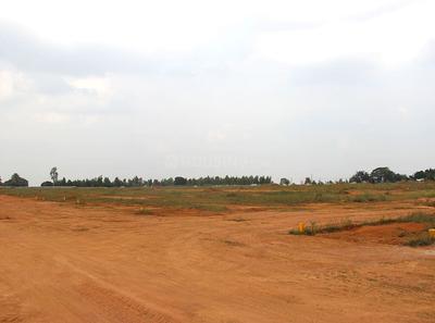 Gallery Cover Image of Sq.ft Residential Plot for buy in Ashok Nagar for 560000000